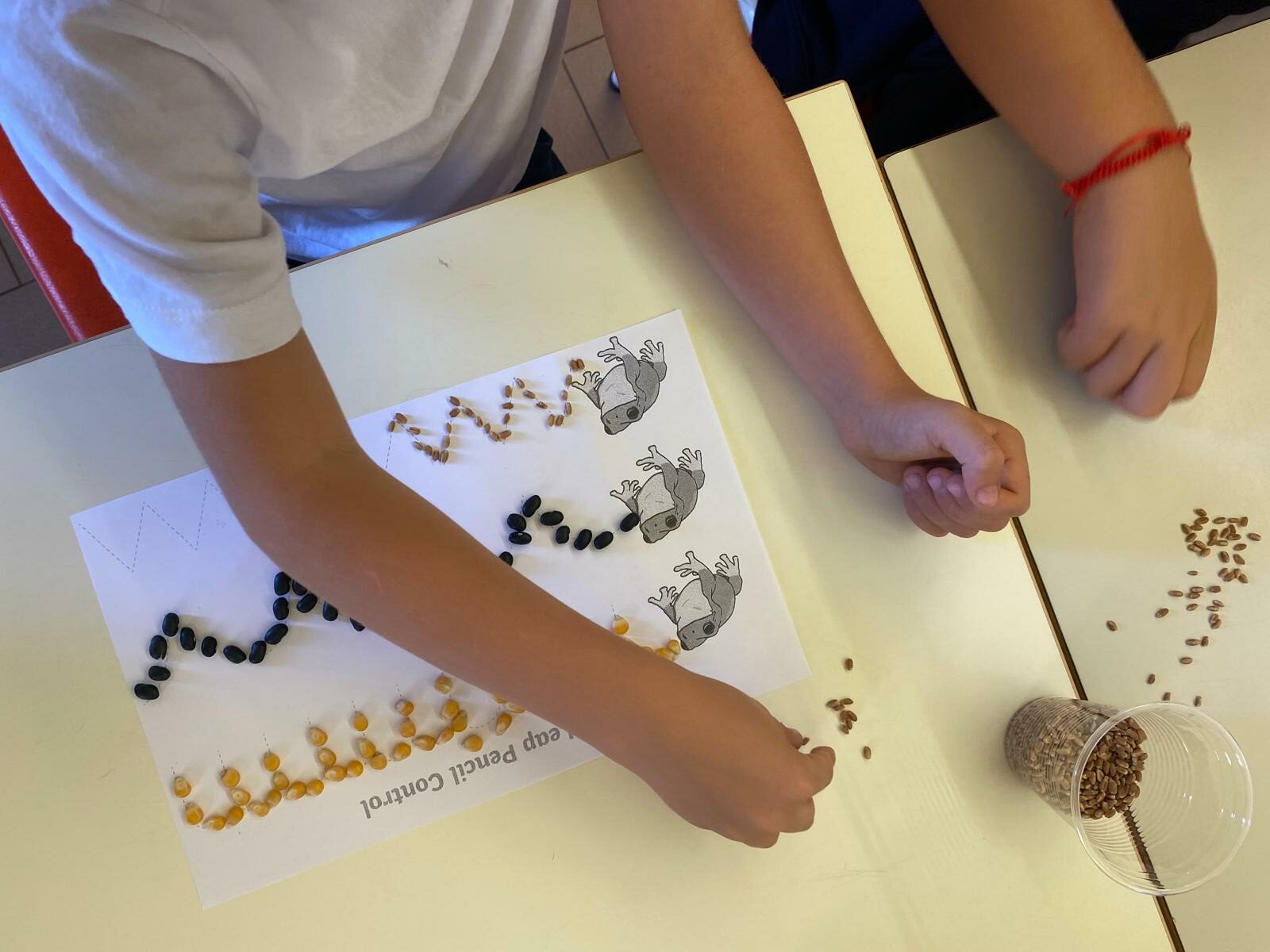 ‘Fai la tua mossa!’ Apprendimento e i valori dell’Assunzione a San Carpoforo