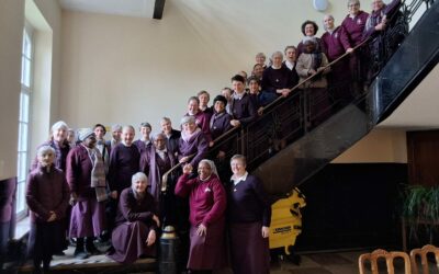 The Canonical Visit to the Province of Europe: A Journey of Grace